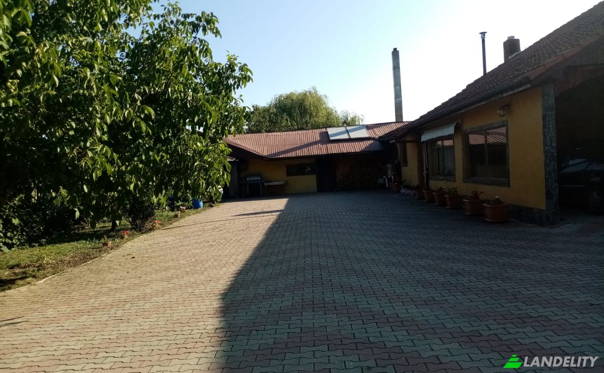 Maison unifamiliale à vendre DN6, Becicherecu Mic 307040, Becicherecu Mic, Timis, Romania. Photo 5