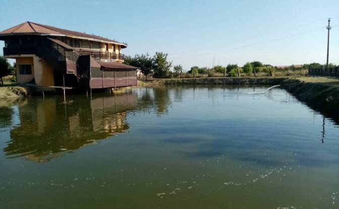 Casa unifamiliar à venda - Becicherecu Mic, Romania