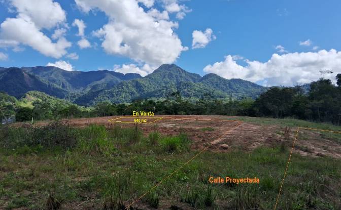 Investing/Development for Sale - Pongo de Caynarachi, Peru