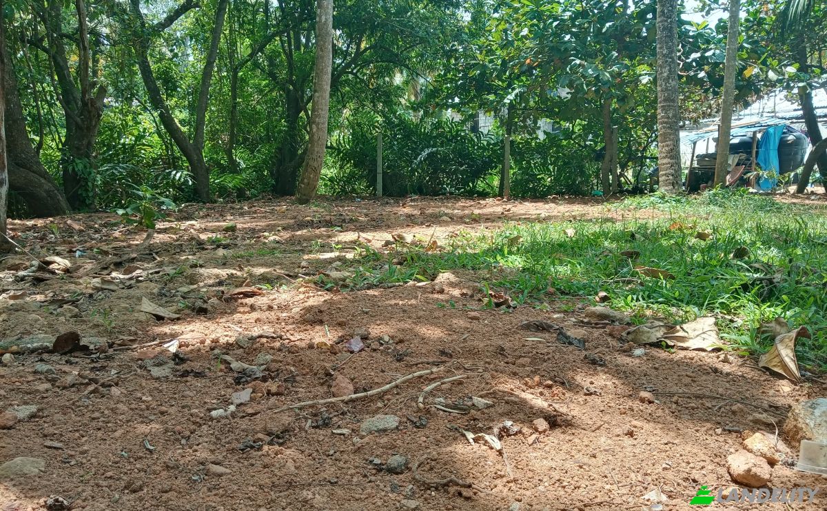 Investing/Development for Rent Dikwella, Nilwella, Matara, Southern Province, Sri Lanka. Photo 1