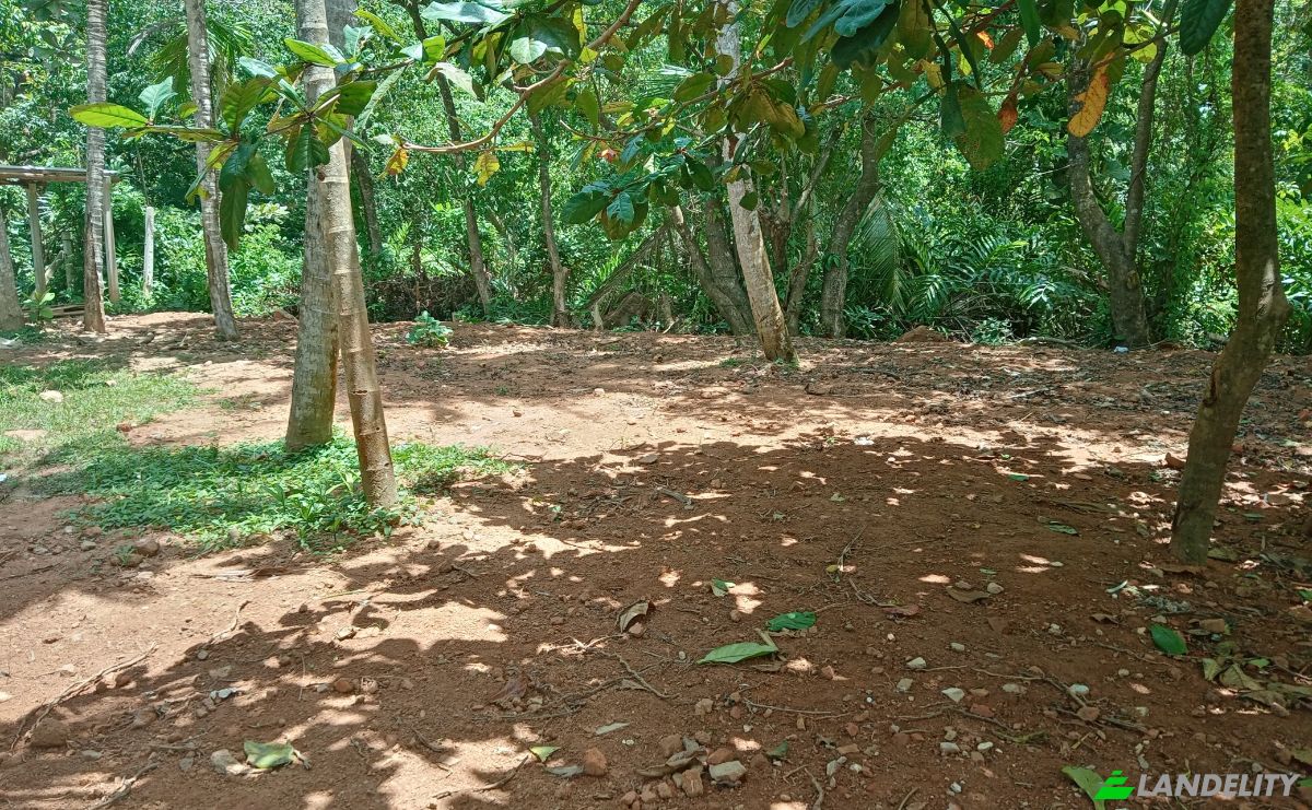 Investing/Development for Rent Dikwella, Nilwella, Matara, Southern Province, Sri Lanka. Photo 10