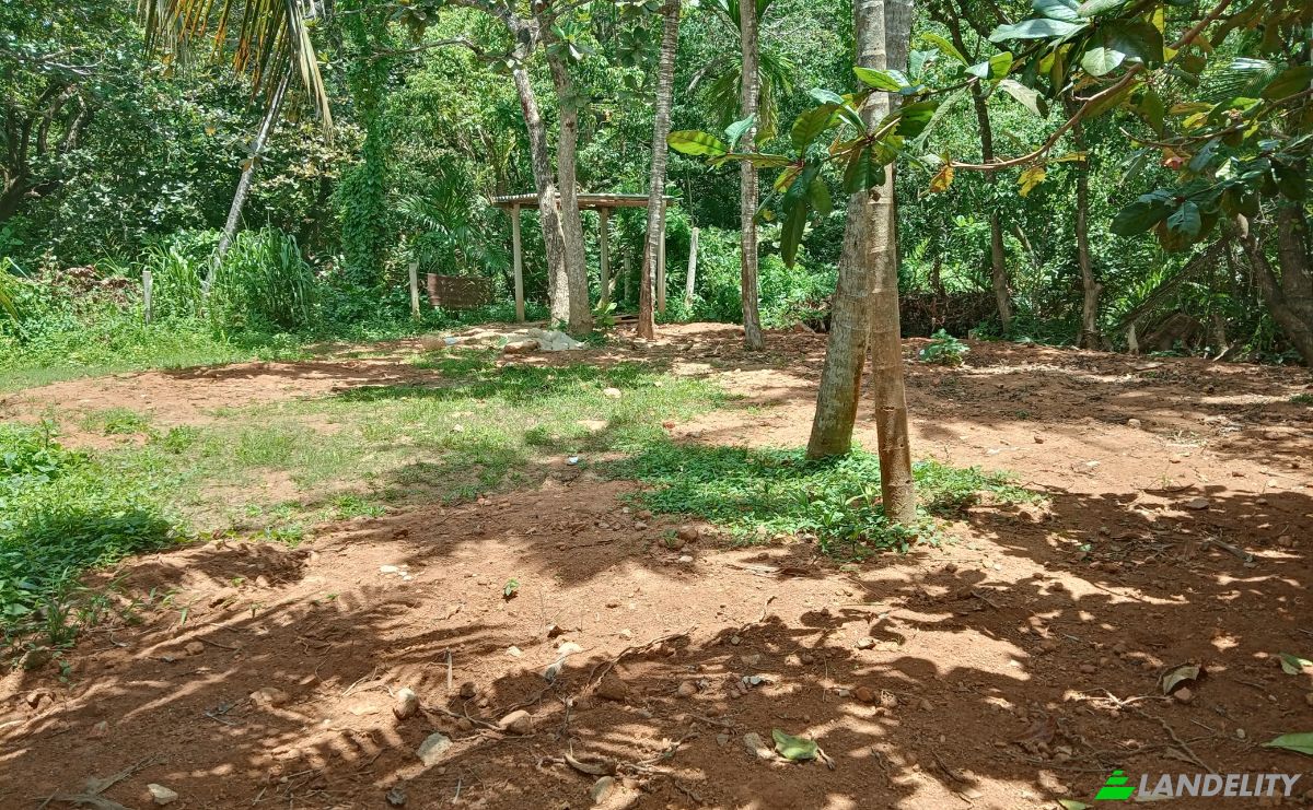 Investing/Development for Rent Dikwella, Nilwella, Matara, Southern Province, Sri Lanka. Photo 11