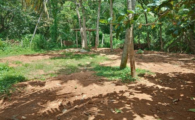 Investing/Development for Rent Dikwella, Nilwella. Photo#11 Investing/Development for Rent Dikwella, Nilwella. Photo#11