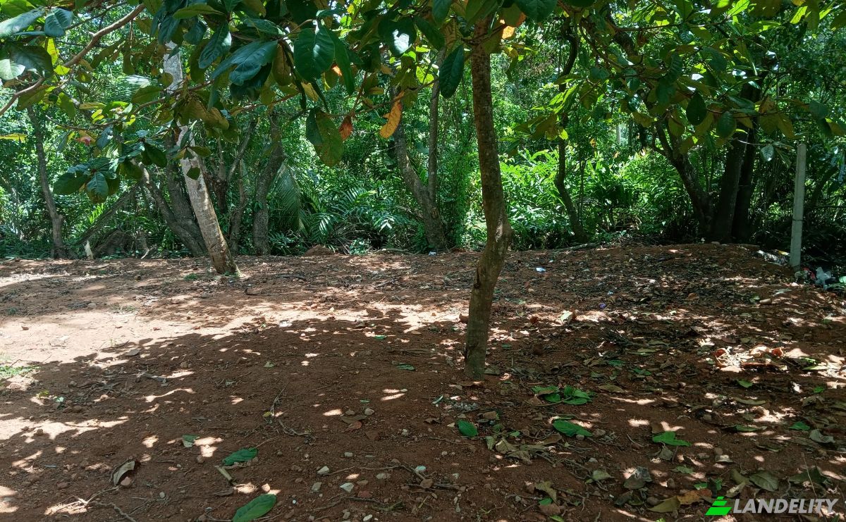 Investing/Development for Rent Dikwella, Nilwella, Matara, Southern Province, Sri Lanka. Photo 12