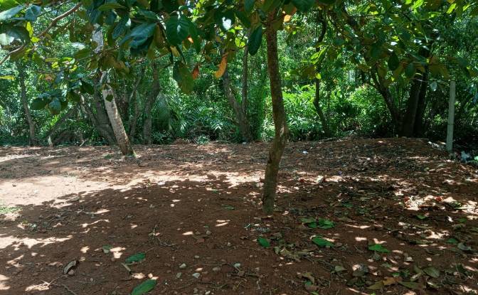 Investing/Development for Rent Dikwella, Nilwella. Photo#12 Investing/Development for Rent Dikwella, Nilwella. Photo#12