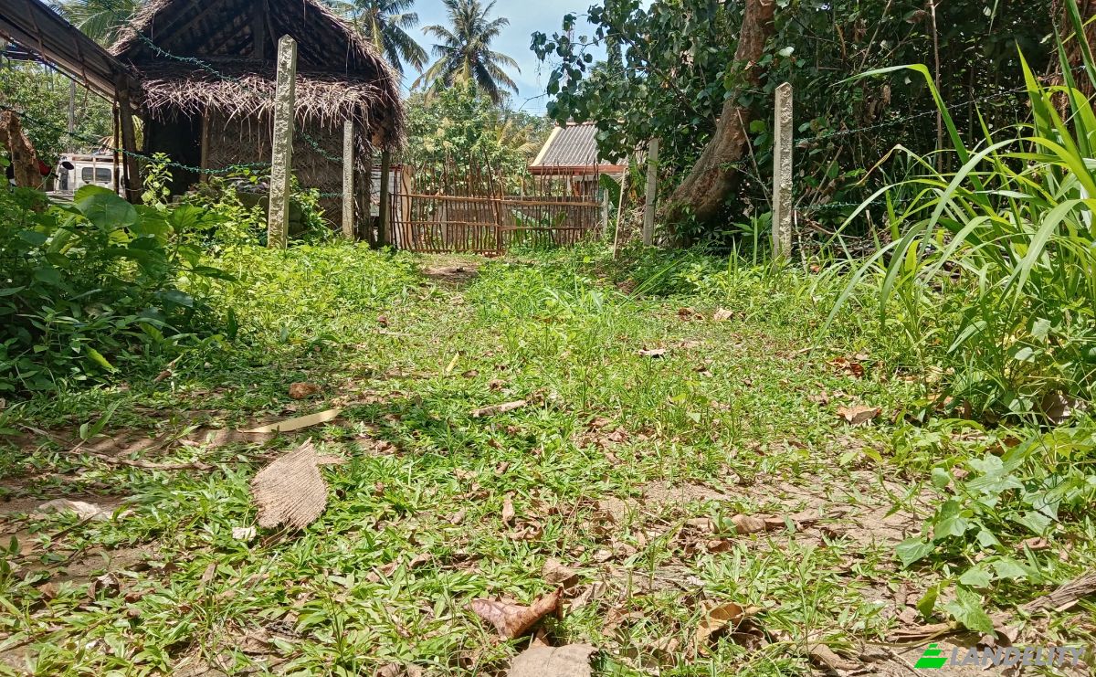 Investing/Development for Rent Dikwella, Nilwella, Matara, Southern Province, Sri Lanka. Photo 15