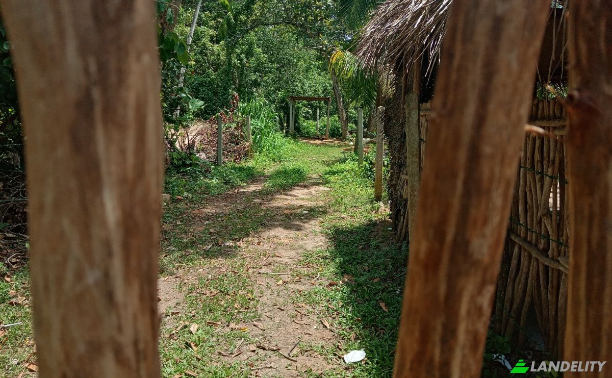 Investing/Development for Rent Dikwella, Nilwella, Matara, Southern Province, Sri Lanka. Photo 16