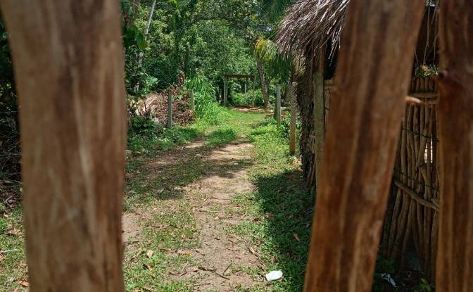 Investing/Development for Rent Dikwella, Nilwella. Photo#16 Investing/Development for Rent Dikwella, Nilwella. Photo#16