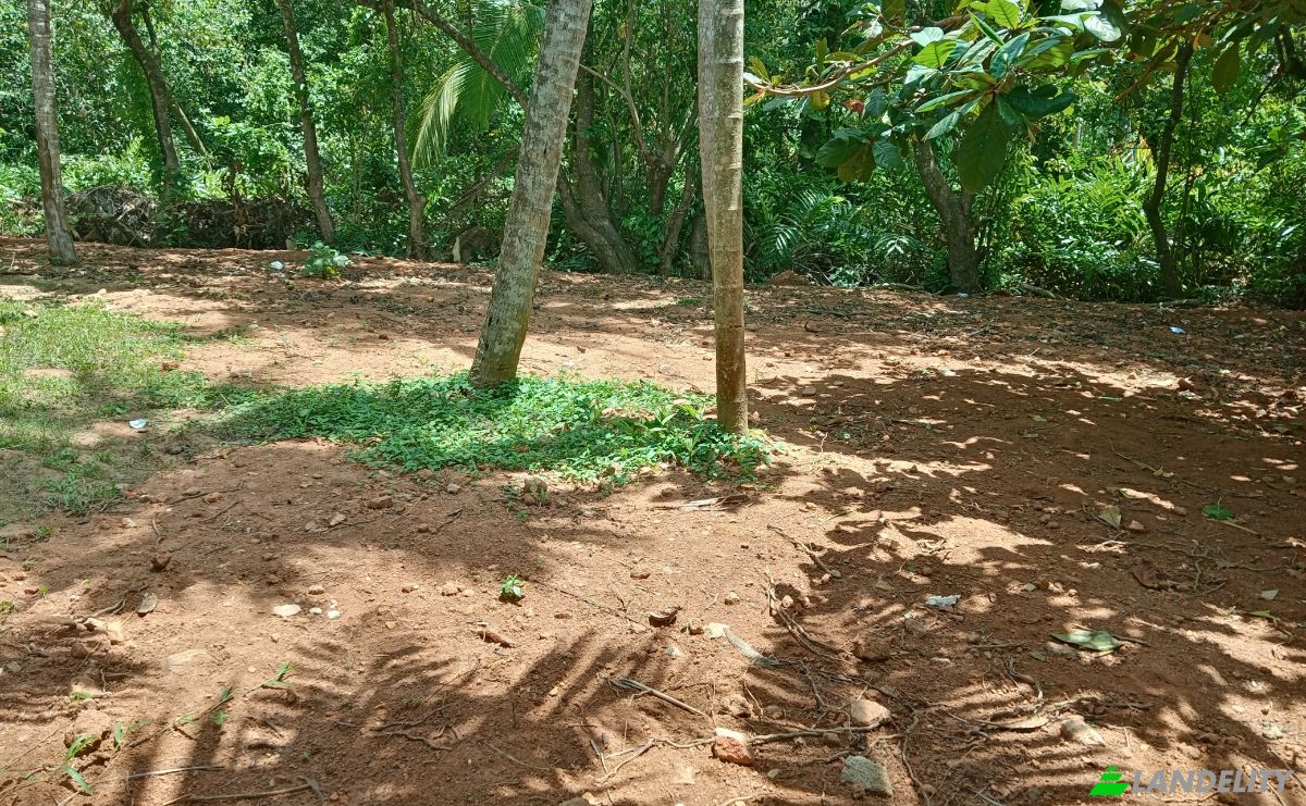 Investing/Development for Rent Dikwella, Nilwella, Matara, Southern Province, Sri Lanka. Photo 2
