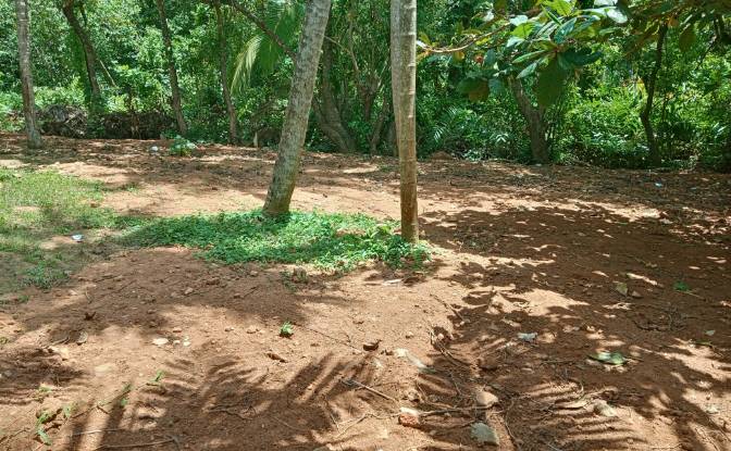 Investing/Development for Rent Dikwella, Nilwella. Photo#2 Investing/Development for Rent Dikwella, Nilwella. Photo#2