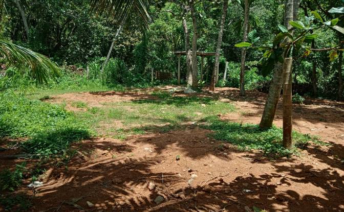 Investing/Development for Rent Dikwella, Nilwella. Photo#4 Investing/Development for Rent Dikwella, Nilwella. Photo#4
