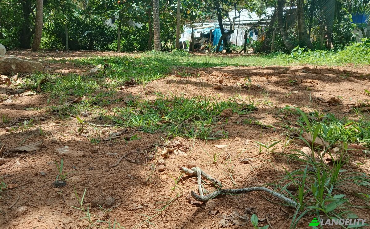 Investing/Development for Rent Dikwella, Nilwella, Matara, Southern Province, Sri Lanka. Photo 5