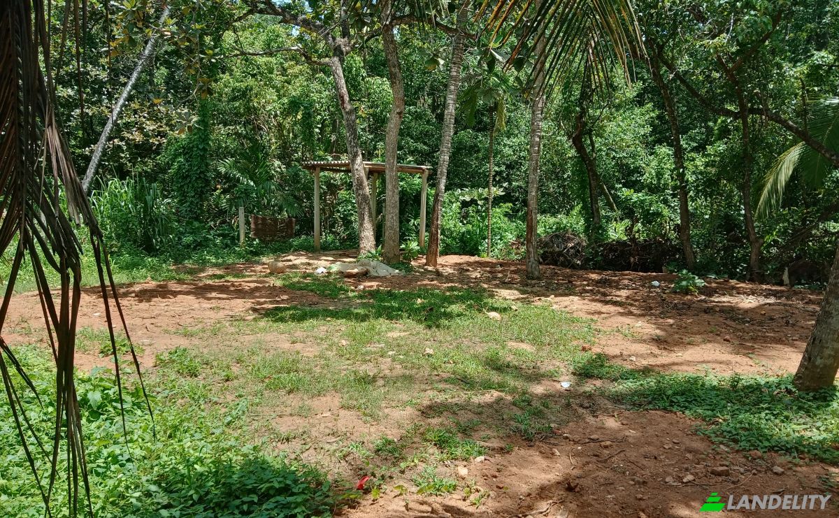 Investing/Development for Rent Dikwella, Nilwella, Matara, Southern Province, Sri Lanka. Photo 8