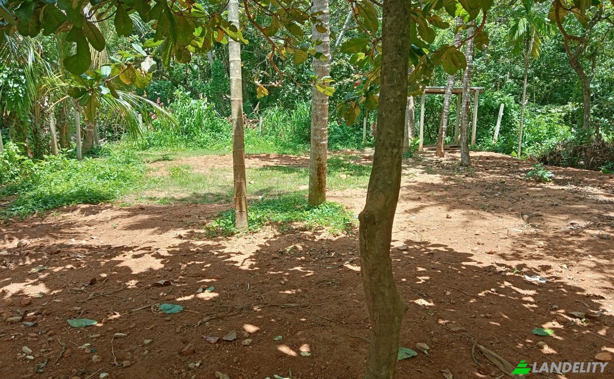 Investing/Development for Rent Dikwella, Nilwella, Matara, Southern Province, Sri Lanka. Photo 9