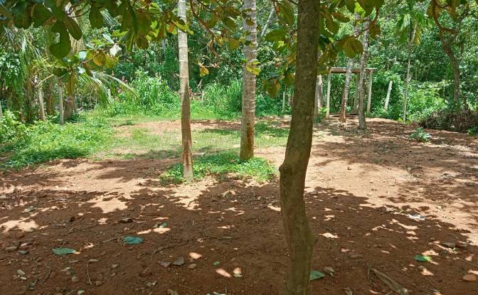 Investing/Development for Rent Dikwella, Nilwella. Photo#9 Investing/Development for Rent Dikwella, Nilwella. Photo#9