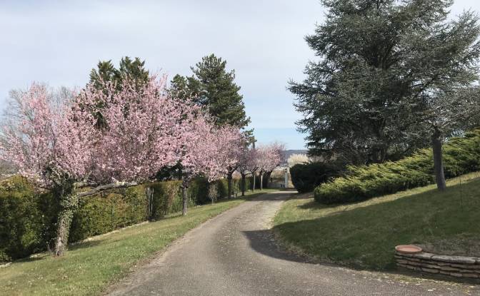 Villa for Sale 113 Chem des Pistoles. Photo#3
