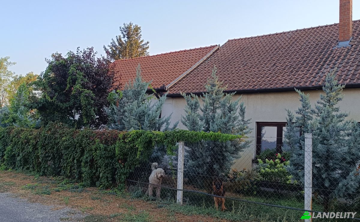 Single Family Home for Sale Kiskunfelegyhaza, Kiskunfelegyhaza District, Bacs-Kiskun, Hungary, X korzet tanya 34, 6100 Hungary. Photo 1