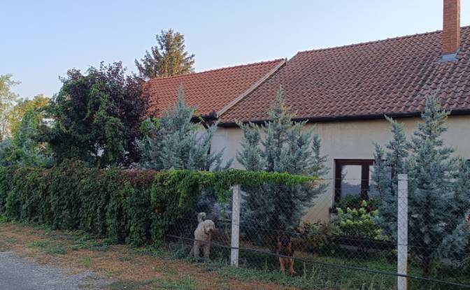 Single Family Home for Sale - Kiskunfelegyhaza, Hungary