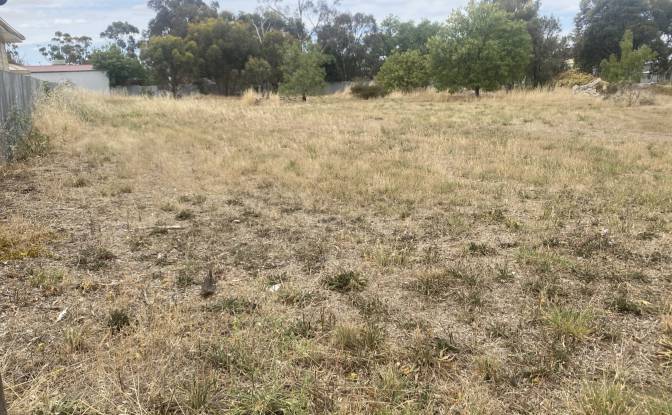 Land Lot for Sale - Kaniva, Australia