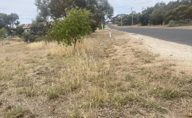 Land Lot for Sale 12 Moore St, Kaniva VIC 3419. Photo#2 Land Lot for Sale 12 Moore St, Kaniva VIC 3419. Photo#2