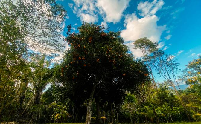 Grundstück zu verkaufen 22215, Tarapoto. Foto#2