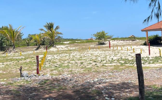 Land Lot for Sale La Ceiba, Atlantida Department. Photo#2 Land Lot for Sale La Ceiba, Atlantida Department. Photo#2