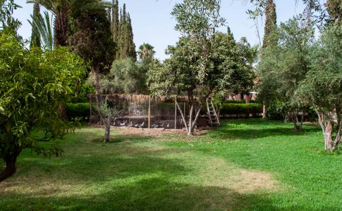 Investing/Development for Sale Chwiter, Marrakesh. Photo#14