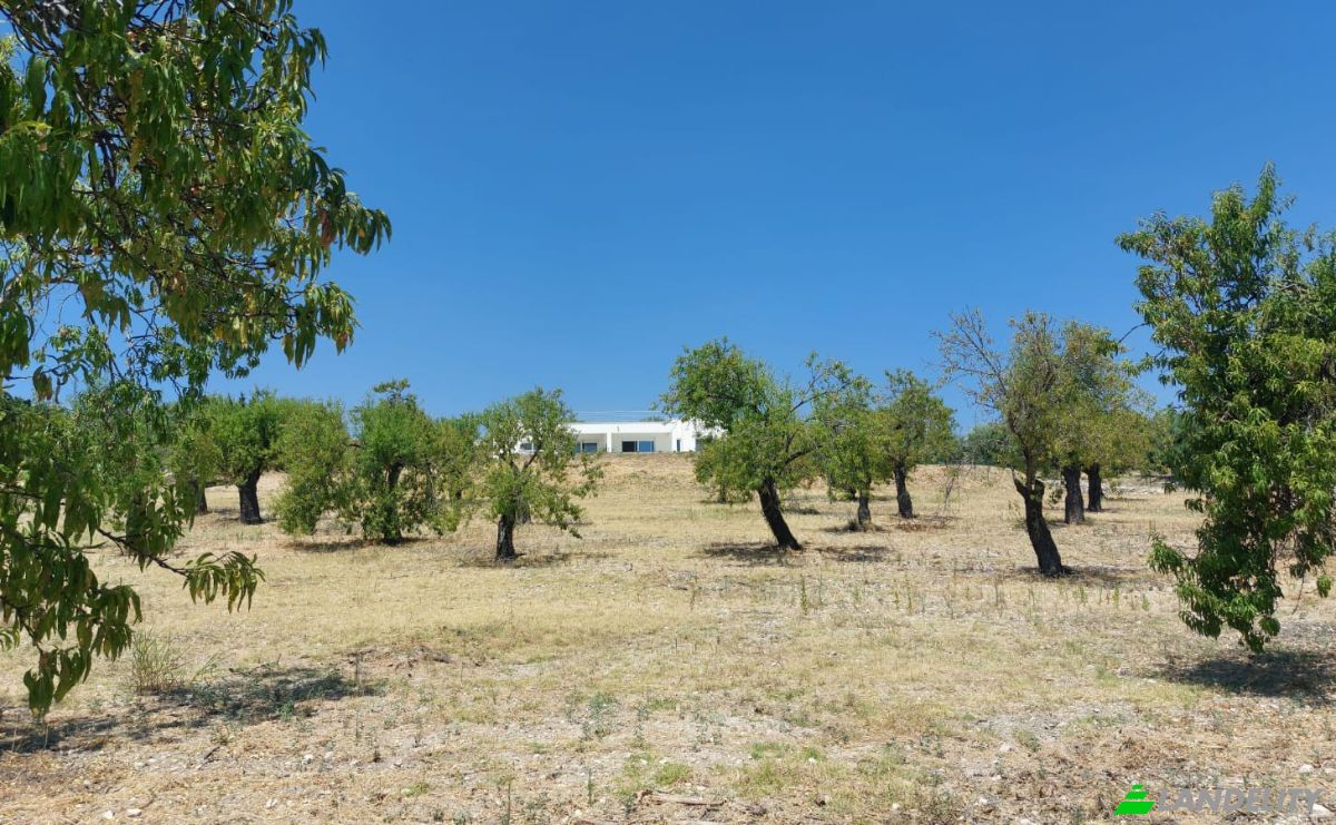 Villa for Sale Via Risicone, 96012 Avola SR, Avola, Free municipal consortium of Syracuse, Sicily, Italy. Photo 5
