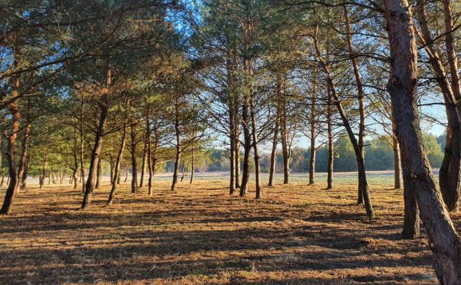 Investing/Development for Sale Bidzinszczyzna 8. Photo#2 Investing/Development for Sale Bidzinszczyzna 8. Photo#2