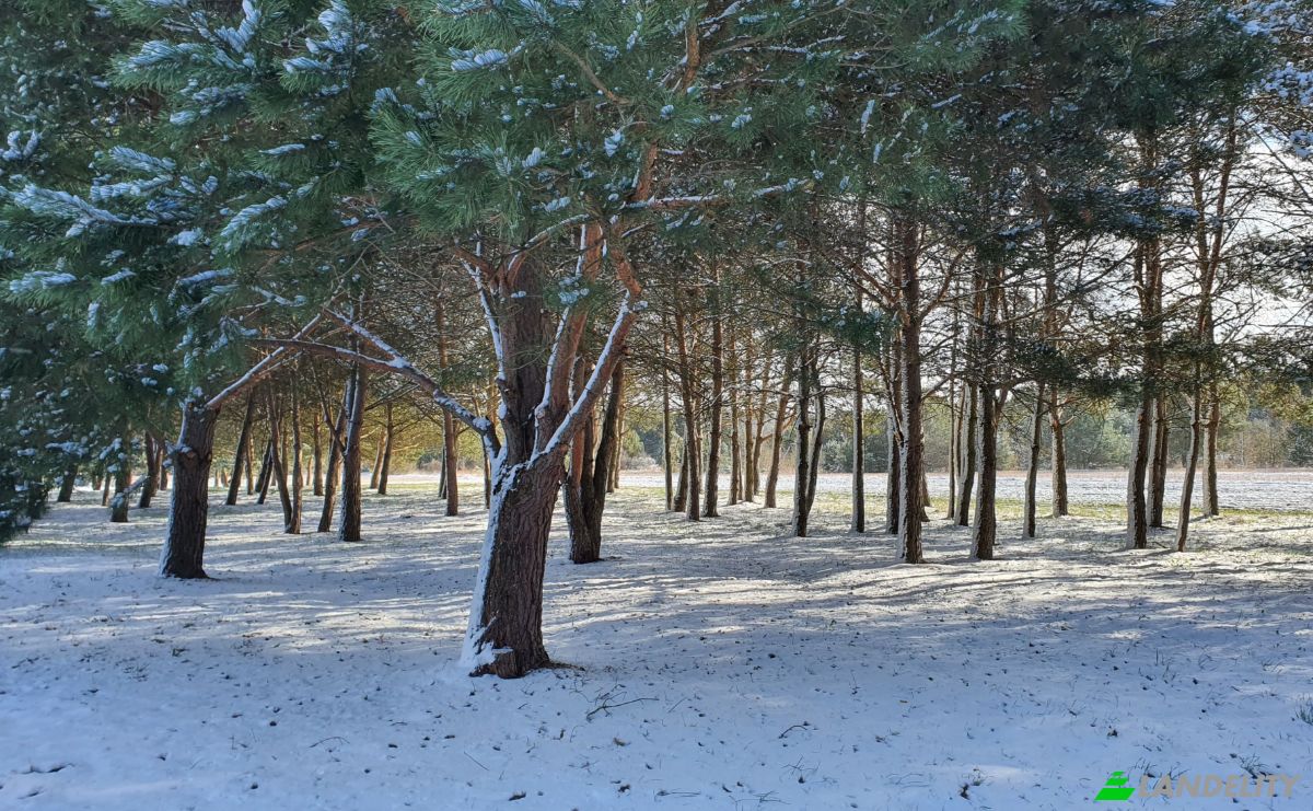 Investing/Development for Sale Bidzinszczyzna 8, 27-423 Skarbka, Ulow, Ostrowiec County, Swietokrzyskie Voivodeship, Poland. Photo 16