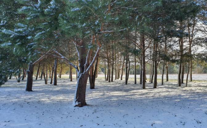 Investing/Development for Sale Bidzinszczyzna 8. Photo#16 Investing/Development for Sale Bidzinszczyzna 8. Photo#16