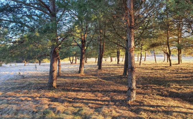 Investing/Development for Sale Bidzinszczyzna 8. Photo#3 Investing/Development for Sale Bidzinszczyzna 8. Photo#3