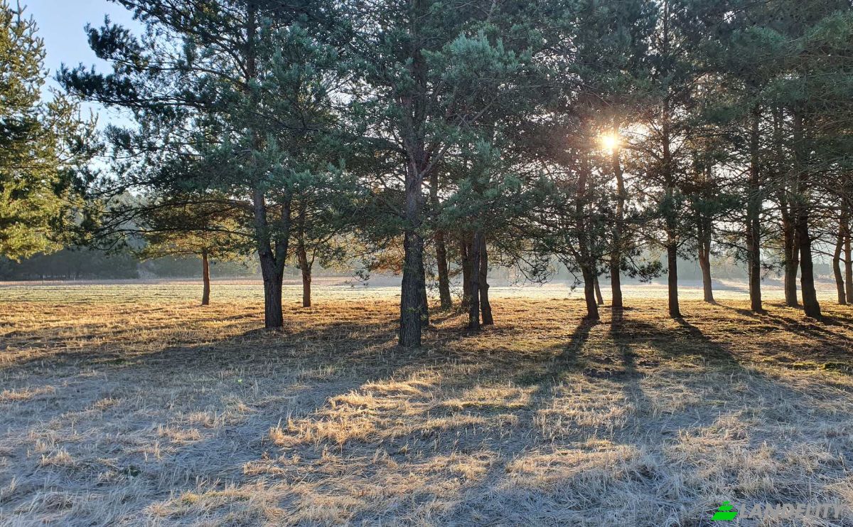Investing/Development for Sale Bidzinszczyzna 8, 27-423 Skarbka, Ulow, Ostrowiec County, Swietokrzyskie Voivodeship, Poland. Photo 4