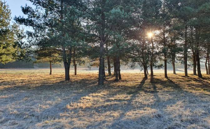 Investing/Development for Sale Bidzinszczyzna 8. Photo#4 Investing/Development for Sale Bidzinszczyzna 8. Photo#4