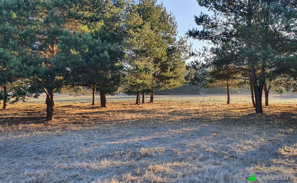Investing/Development for Sale Bidzinszczyzna 8, 27-423 Skarbka, Ulow, Ostrowiec County, Swietokrzyskie Voivodeship, Poland. Photo 5