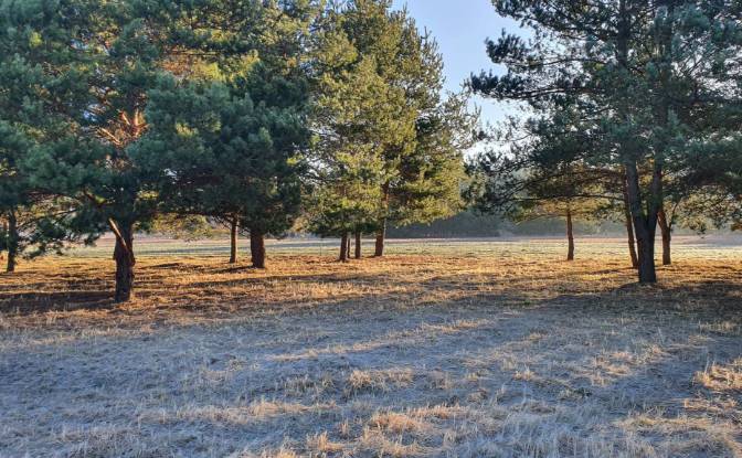 Investing/Development for Sale Bidzinszczyzna 8. Photo#5 Investing/Development for Sale Bidzinszczyzna 8. Photo#5
