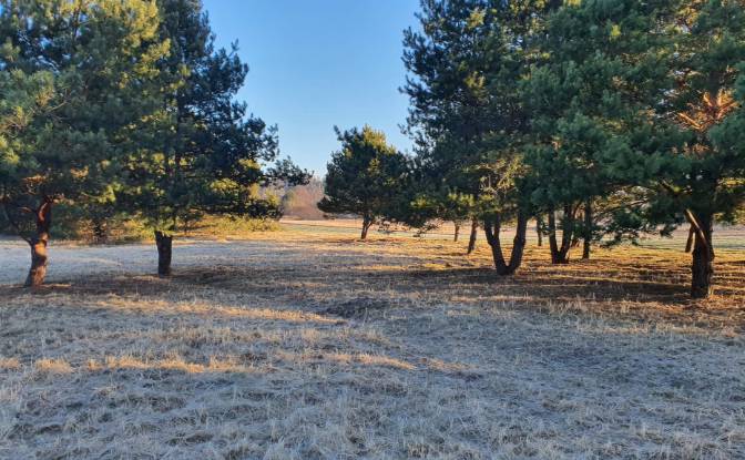 Investing/Development for Sale Bidzinszczyzna 8. Photo#7 Investing/Development for Sale Bidzinszczyzna 8. Photo#7
