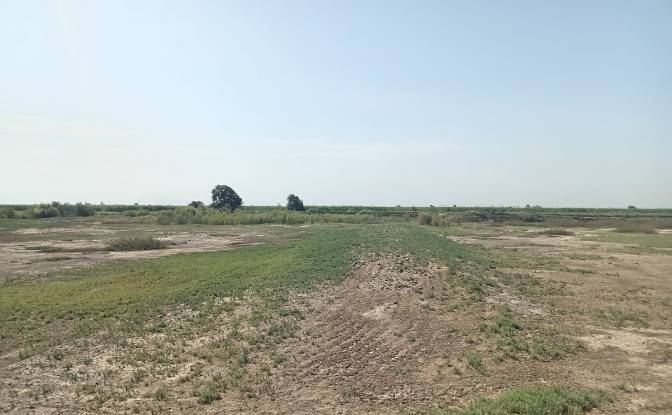 Land Lot for Sale Via Sin Nombre, 14000. Photo#6 Land Lot for Sale Via Sin Nombre, 14000. Photo#6