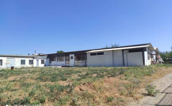 Business for Sale Aristotelois 33, Delta 570 08. Photo#2 Business for Sale Aristotelois 33, Delta 570 08. Photo#2