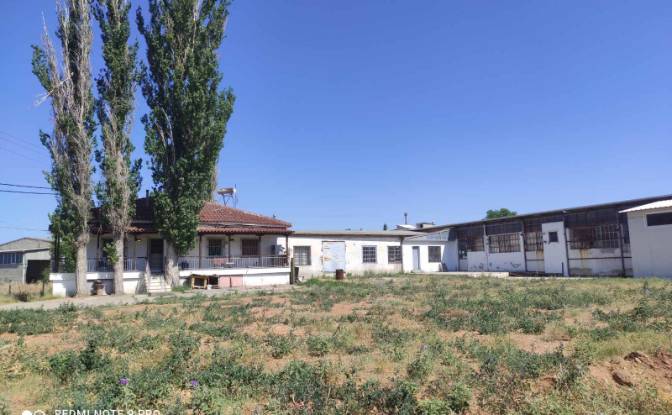 Business for Sale Aristotelois 33, Delta 570 08. Photo#3 Business for Sale Aristotelois 33, Delta 570 08. Photo#3
