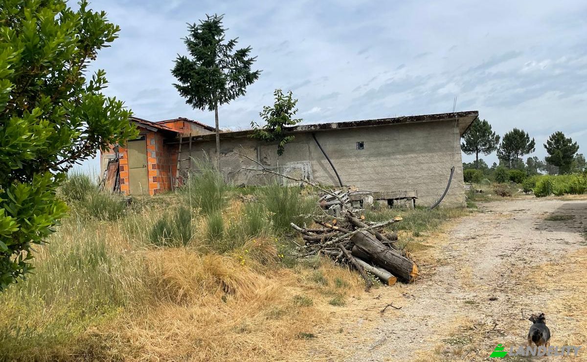 Investing/Development for Sale R Sao Joao, 3620, Fonte Arcada, Moimenta da Beira, Viseu District, Portugal. Photo 12