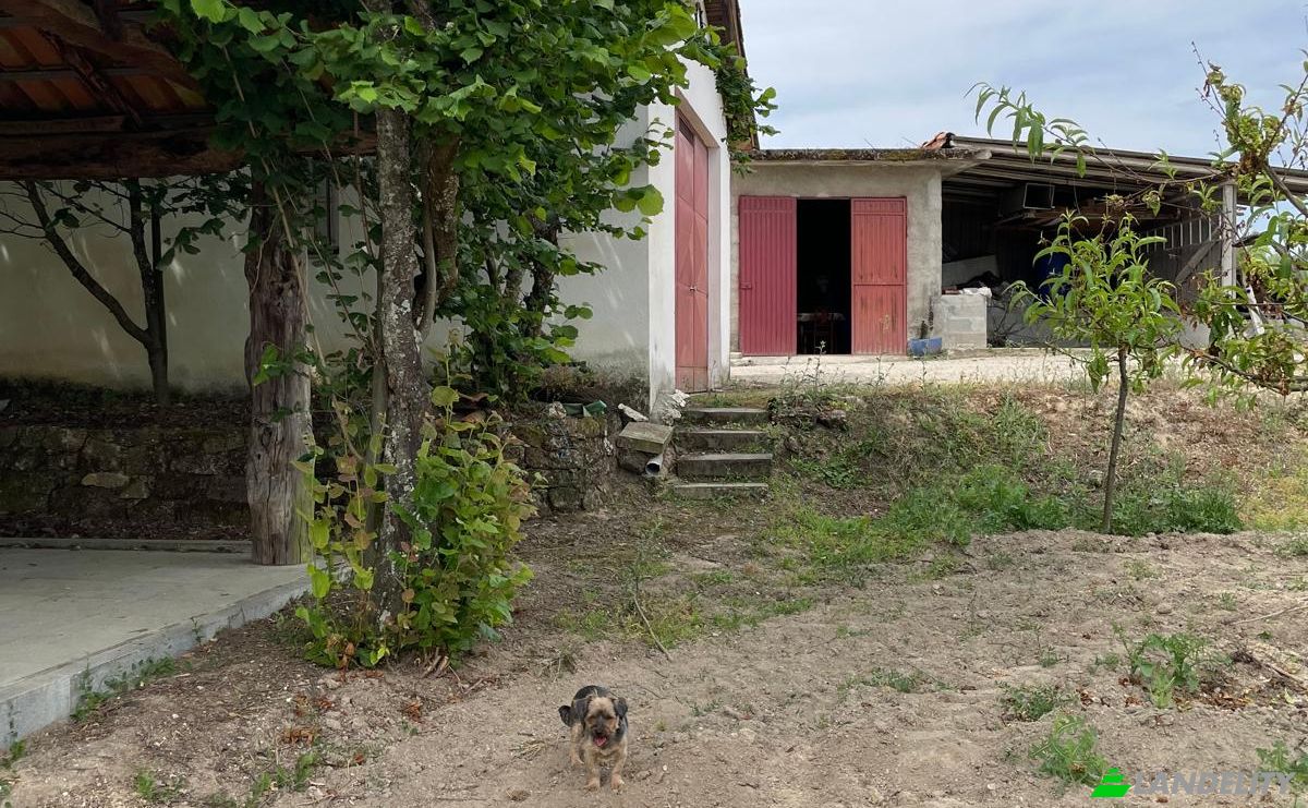 Investing/Development for Sale R Sao Joao, 3620, Fonte Arcada, Moimenta da Beira, Viseu District, Portugal. Photo 14