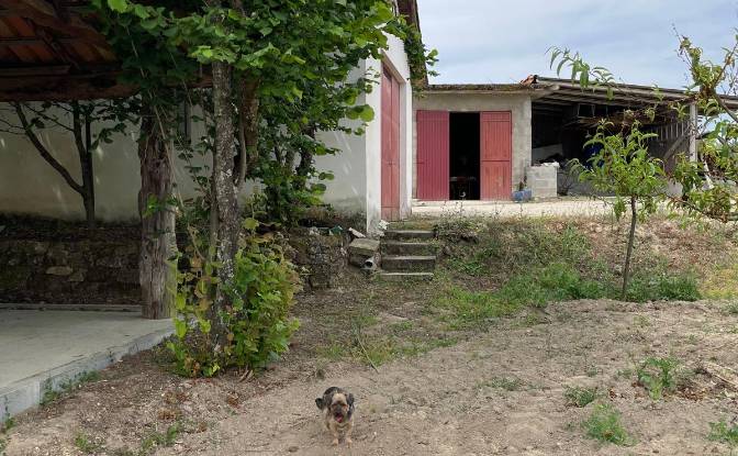 Investing/Development for Sale R Sao Joao, 3620. Photo#14 Investing/Development for Sale R Sao Joao, 3620. Photo#14