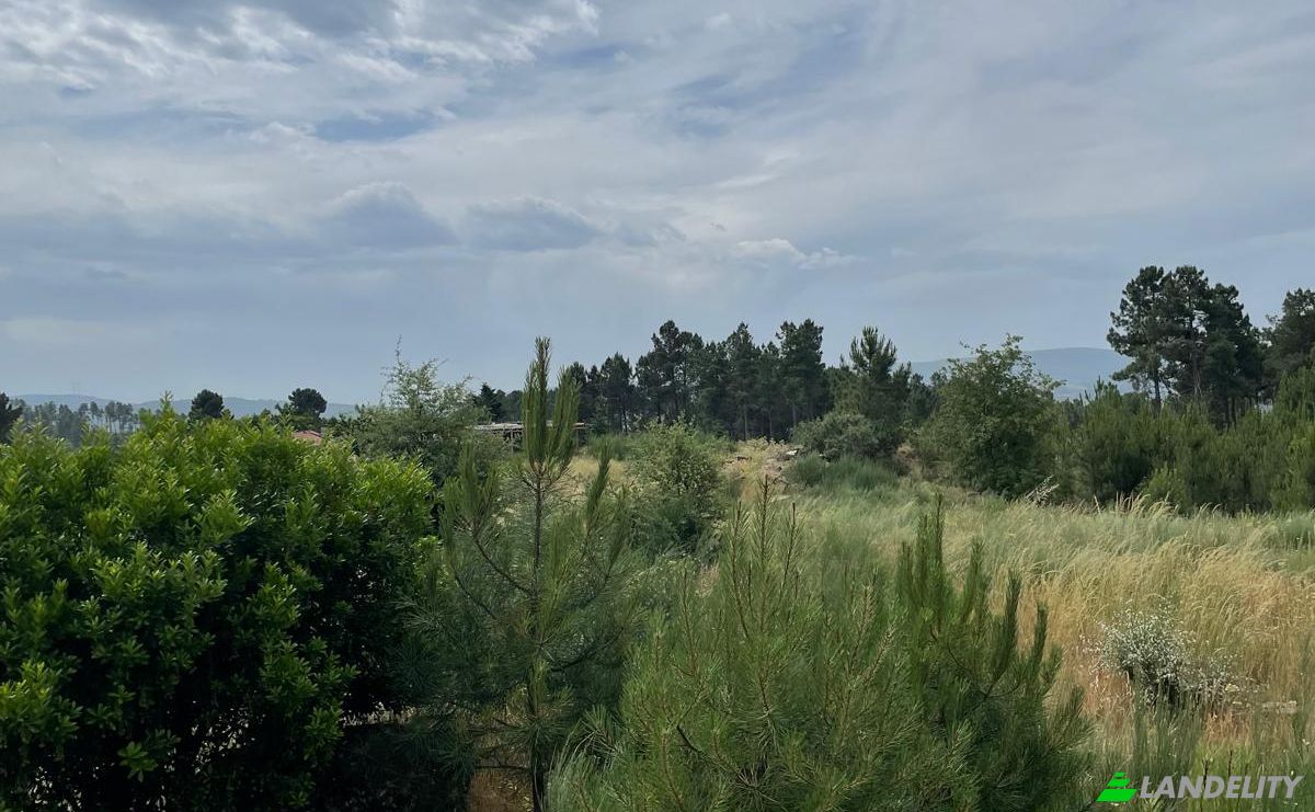 Investing/Development for Sale R Sao Joao, 3620, Fonte Arcada, Moimenta da Beira, Viseu District, Portugal. Photo 17