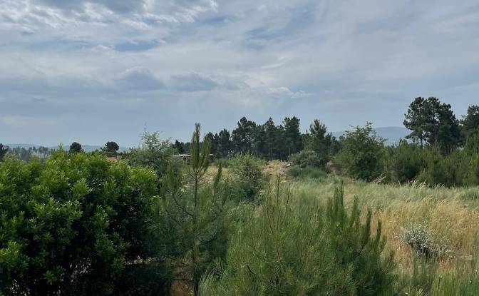 Investing/Development for Sale R Sao Joao, 3620. Photo#17 Investing/Development for Sale R Sao Joao, 3620. Photo#17