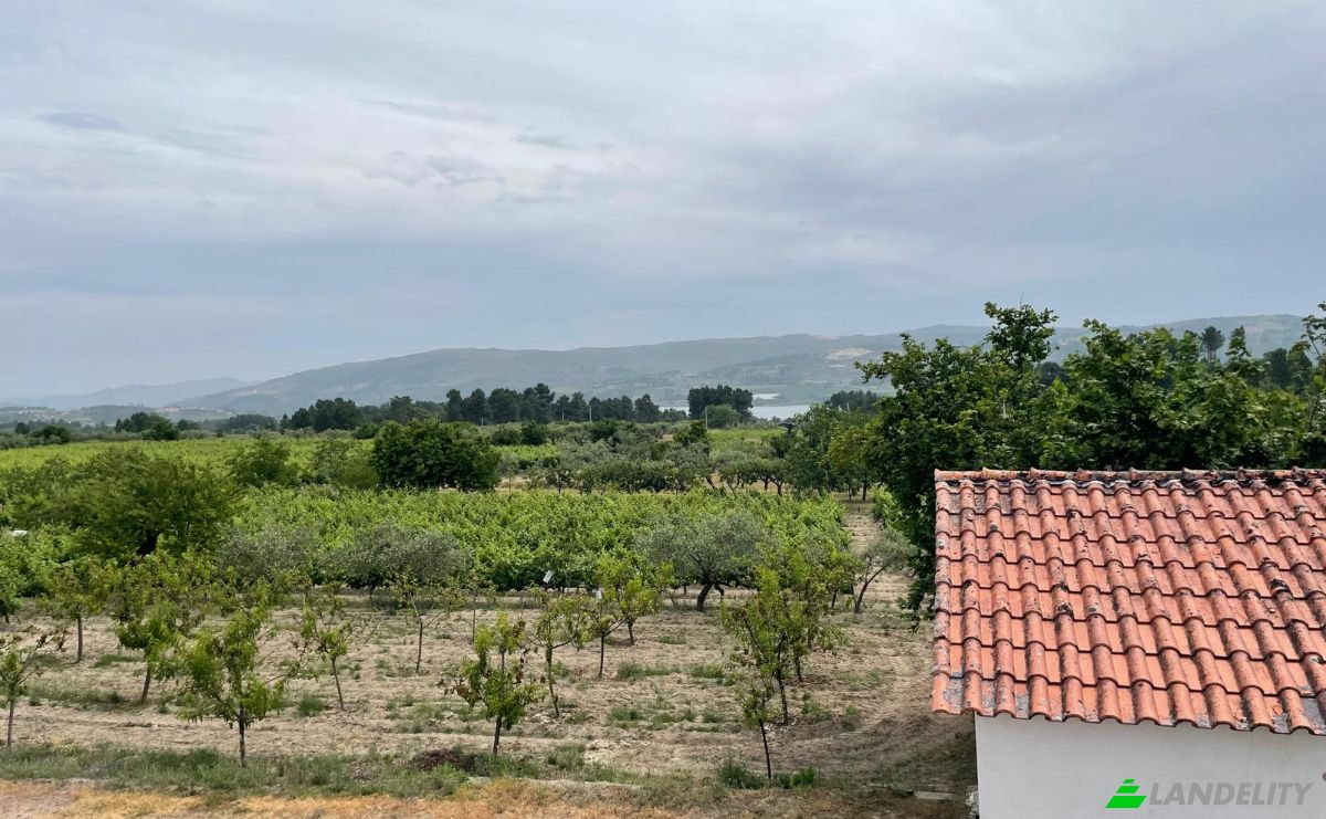 Investing/Development for Sale R Sao Joao, 3620, Fonte Arcada, Moimenta da Beira, Viseu District, Portugal. Photo 18