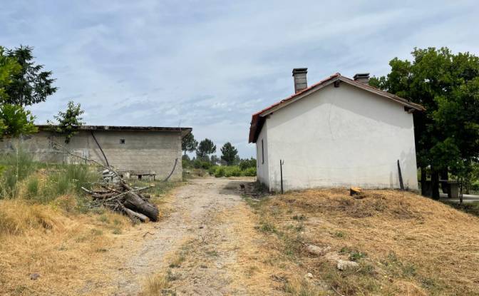 Investing/Development for Sale R Sao Joao, 3620. Photo#2 Investing/Development for Sale R Sao Joao, 3620. Photo#2