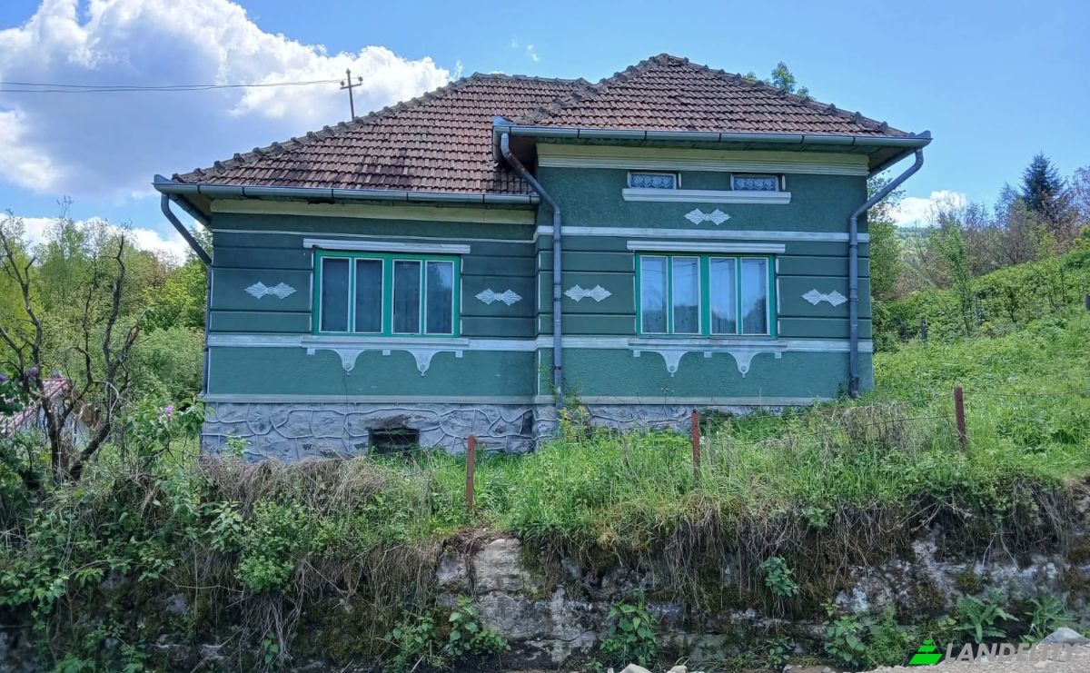 Einfamilienhaus zu verkaufen Valisoara, Balsa, Hunedoara, Romania. Foto 2