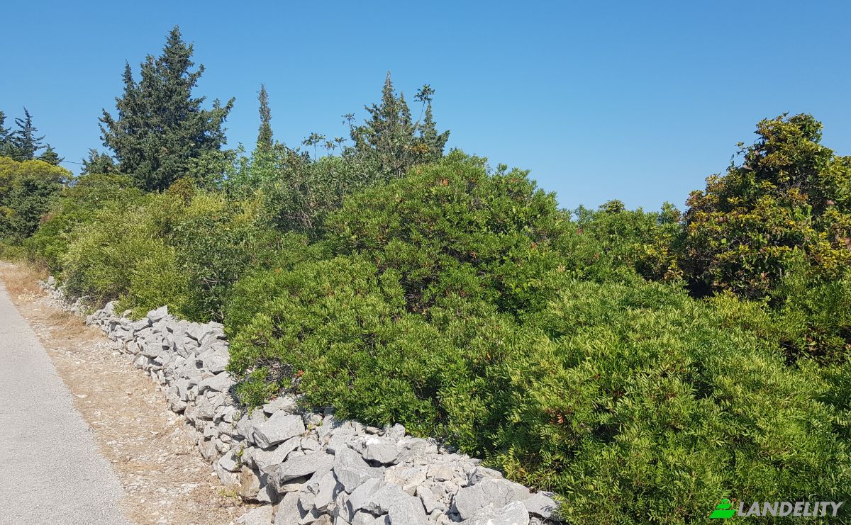 Lote de terreno en venta Brdo 6, 21430, Grohote, Opcina Solta, Split-Dalmatia County, Croatia. Foto 9
