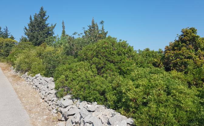 Lote de terreno en venta Brdo 6, 21430, Grohote. Foto#9